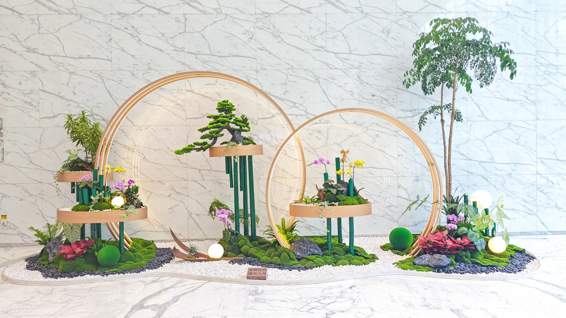 了解宁波鄞州花卉租赁方案,畅享花卉租赁新体验